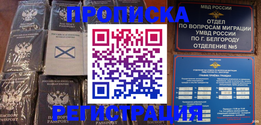 прописка гарантия в Луге